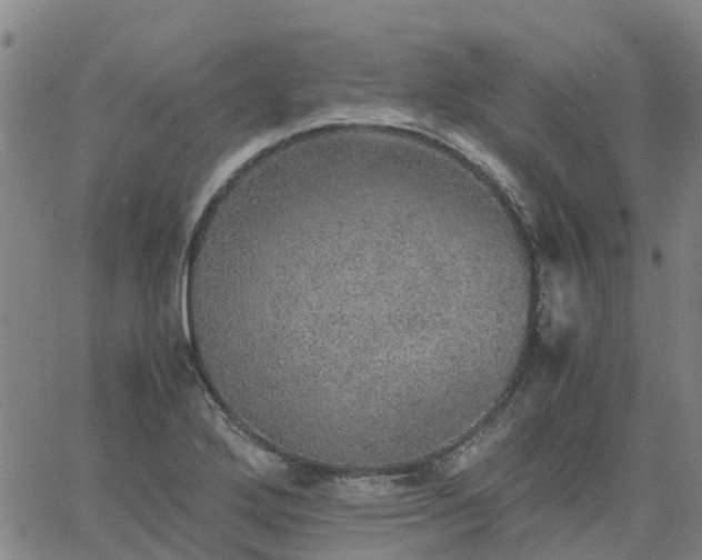 X0000063461272200601271555