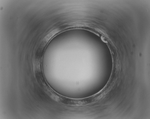 X0000063461273200601271555