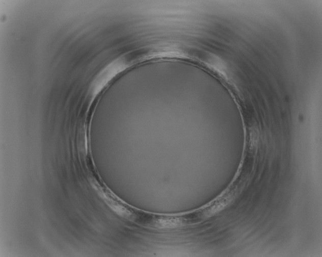 X0000063461274200601271555