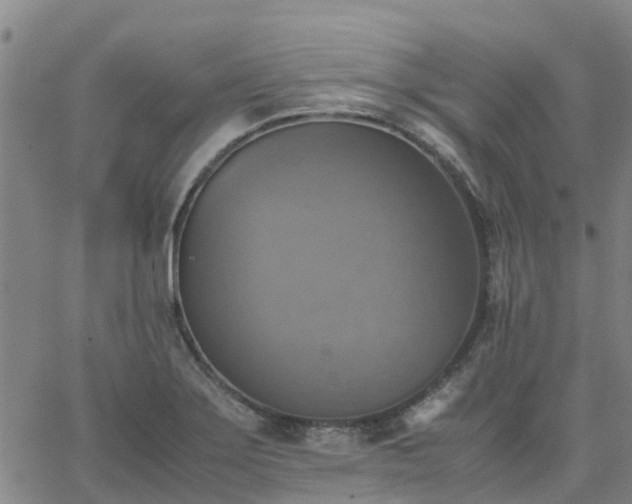 X0000063461275200601271555