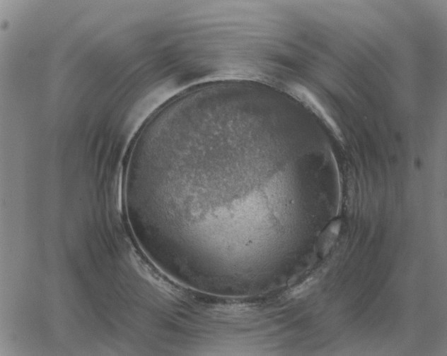 X0000063461276200601271555