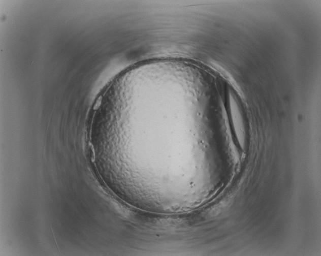 X0000063461277200601271555