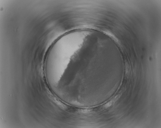 X0000063461278200601271555