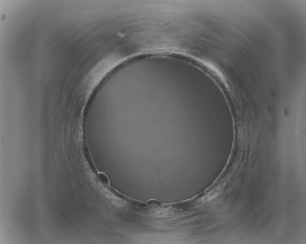 X0000063461279200601271555