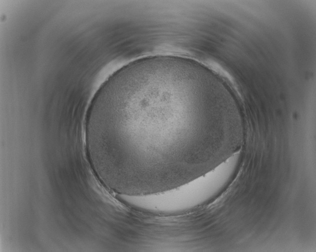 X0000063461280200601271555