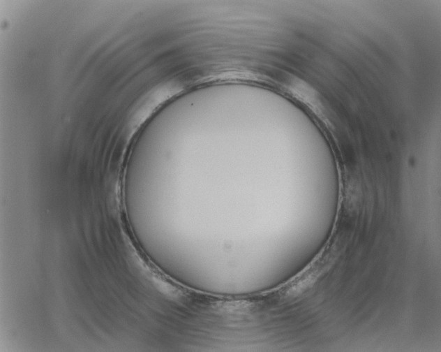 X0000063461282200601271555