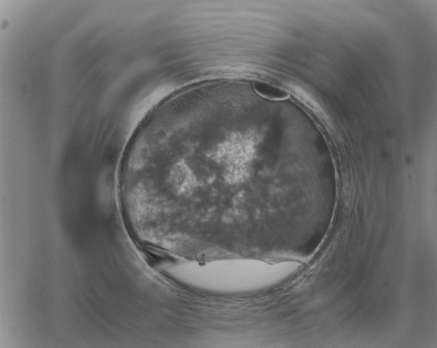 X0000063461283200601271555