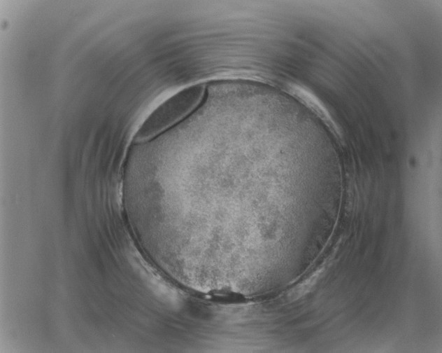 X0000063461284200601271555