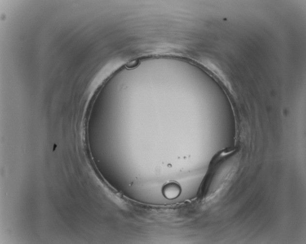 X0000063461285200601271555