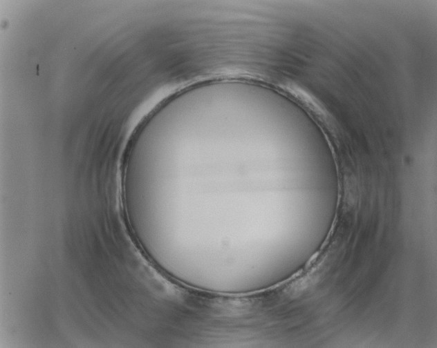 X0000063461286200601271555