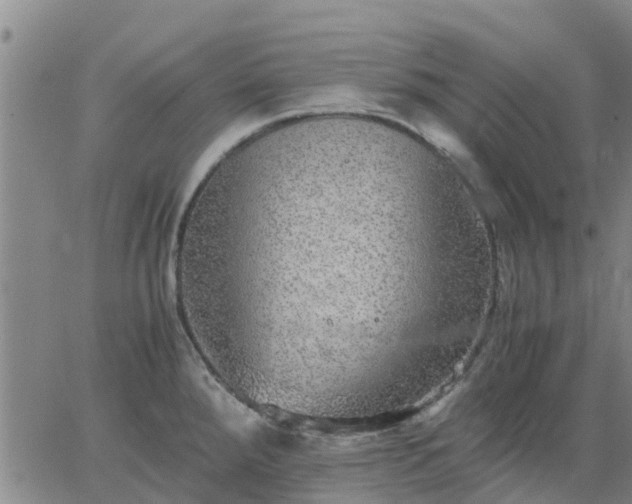 X0000063461288200601271555