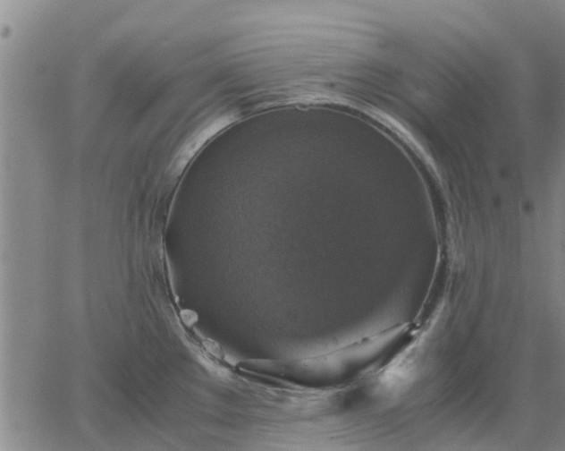 X0000063461289200601271555