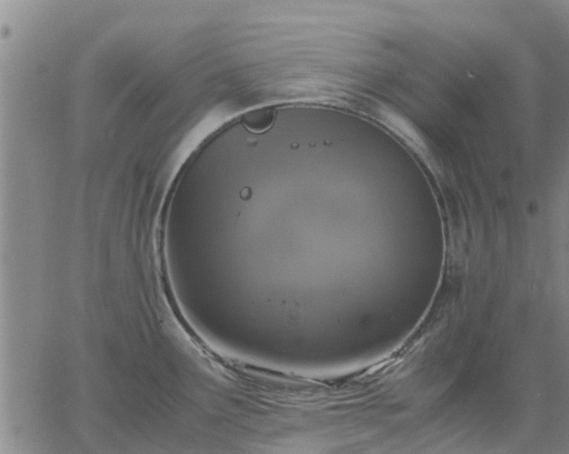 X0000063461291200601271555