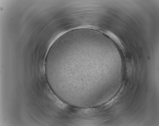 X0000063461292200601271555