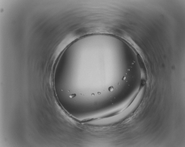 X0000063461293200601271555