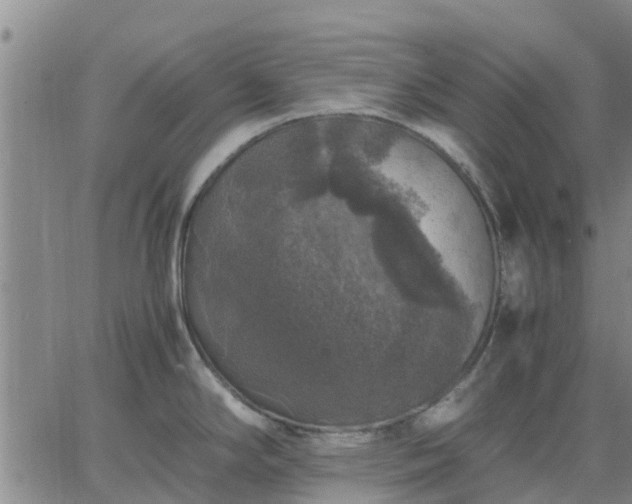 X0000063461294200601271555