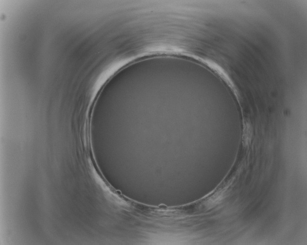 X0000063461295200601271555