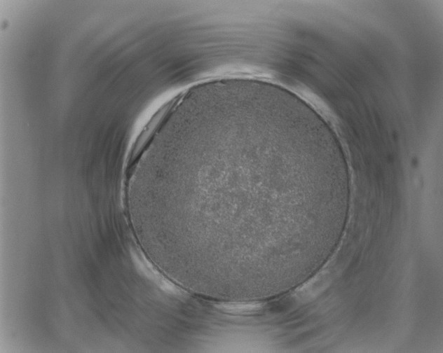 X0000063461296200601271555