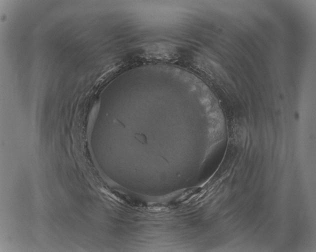 X0000063461297200601271554