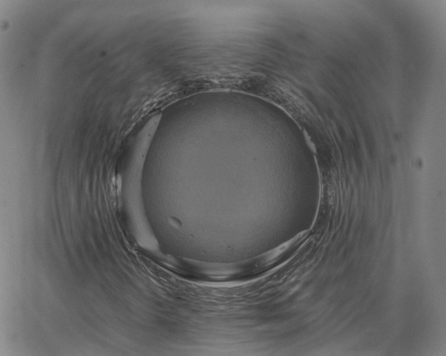 X0000063461298200601271554