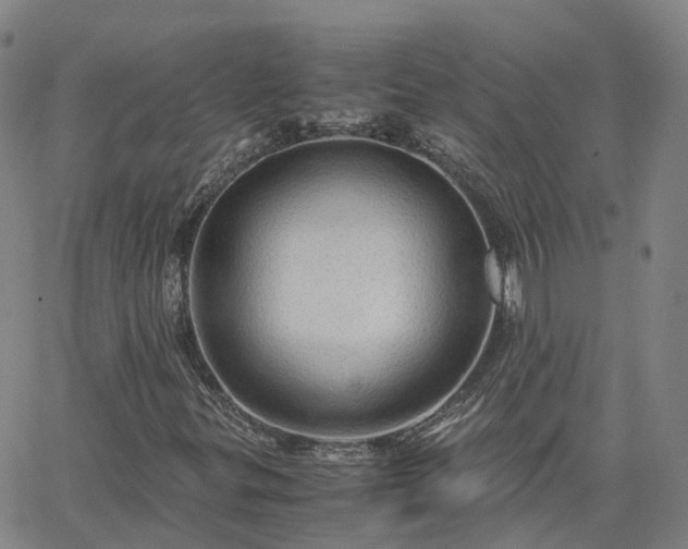 X0000063461299200601271554