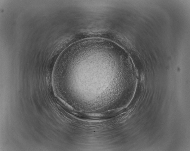 X0000063461300200601271554