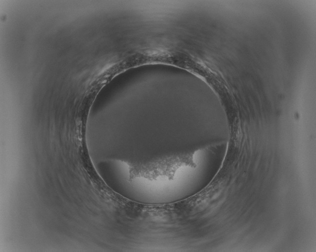 X0000063461301200601271554