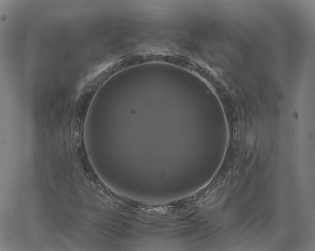 X0000063461303200601271554