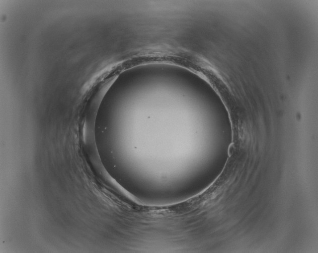 X0000063461304200601271554