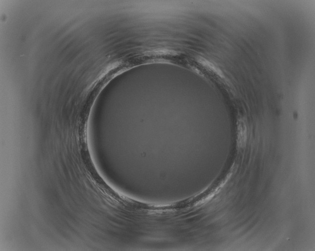 X0000063461305200601271554