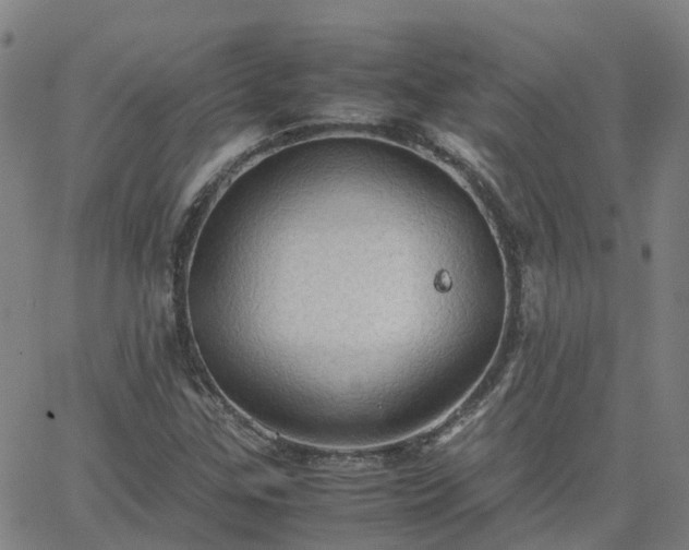 X0000063461307200601271554