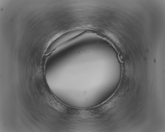 X0000063461308200601271554