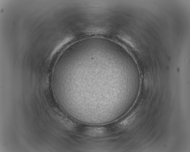 X0000063461309200601271554