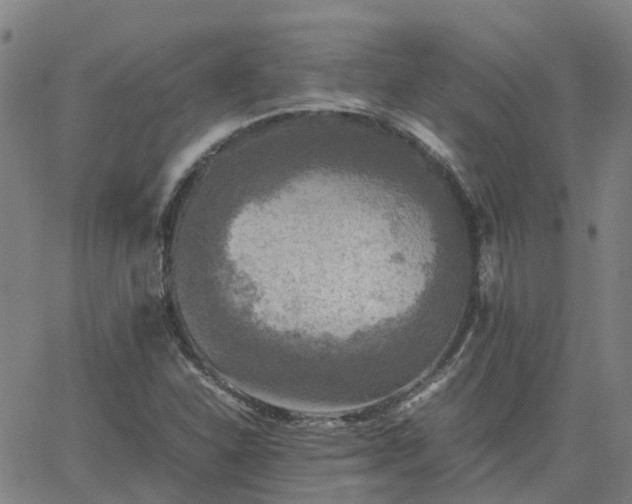 X0000063461310200601271554