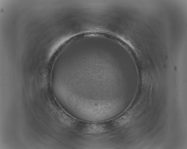 X0000063461311200601271554