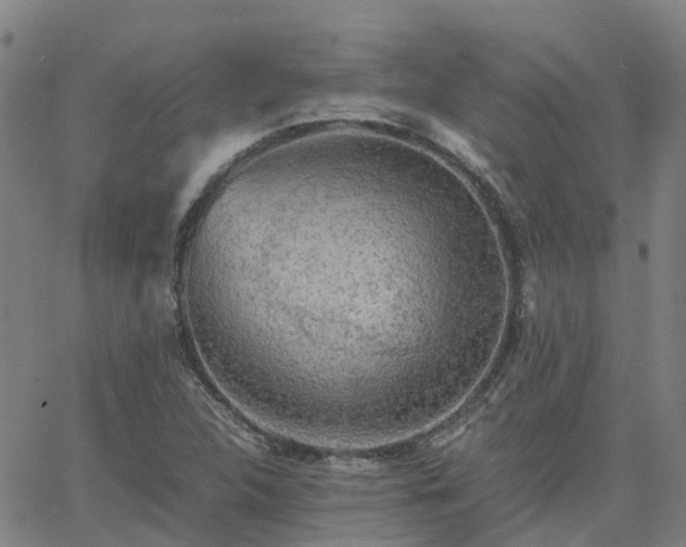 X0000063461312200601271554