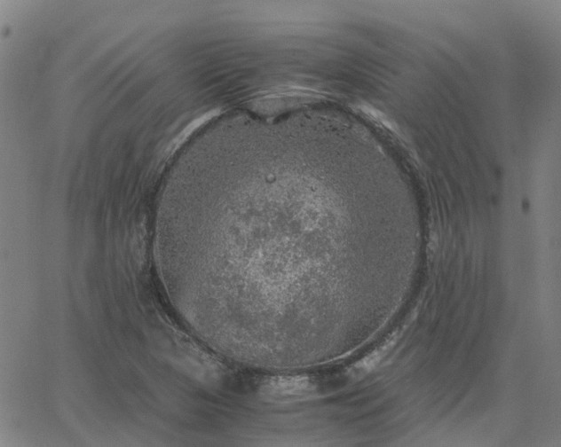 X0000063461313200601271554