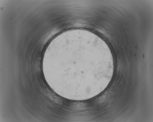 X0000063461314200601271554