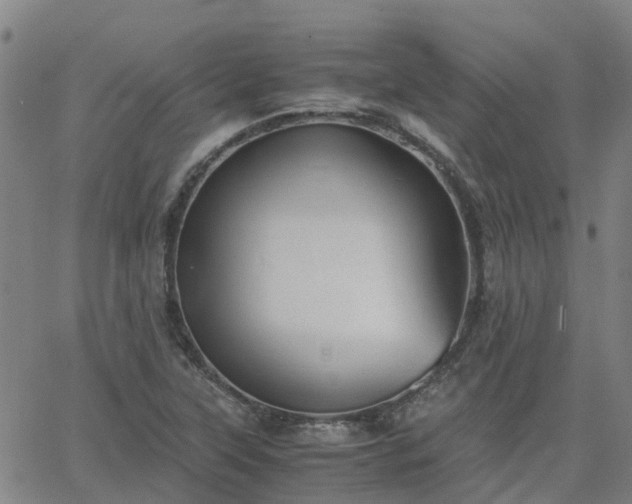 X0000063461315200601271554