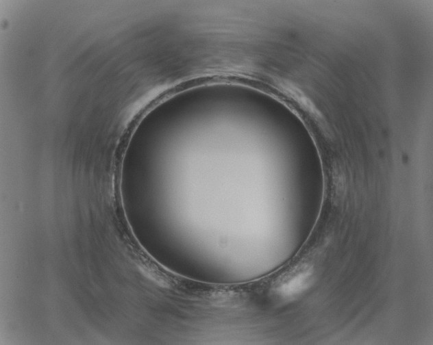 X0000063461316200601271554