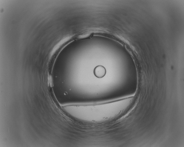 X0000063461317200601271554