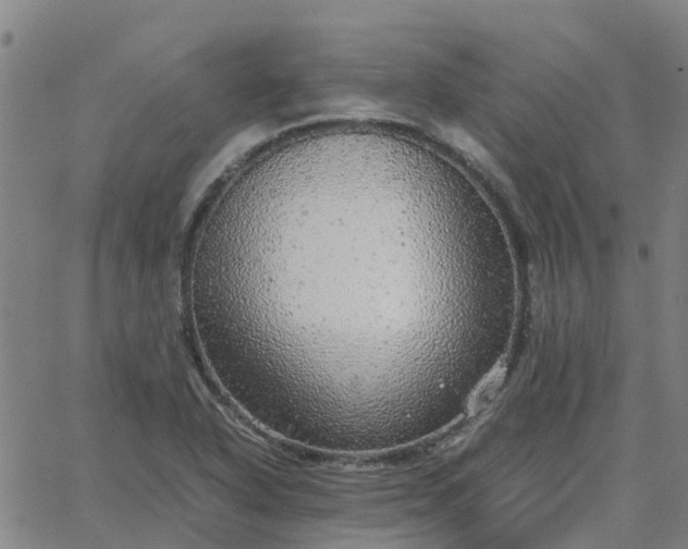 X0000063461318200601271554