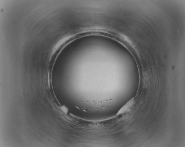 X0000063461320200601271554