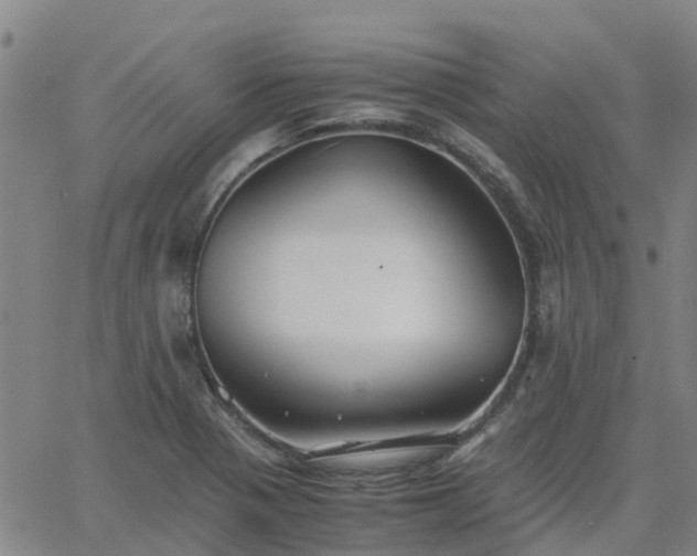 X0000063461321200601271554