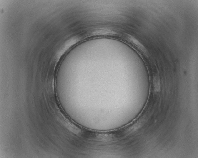 X0000063461322200601271554