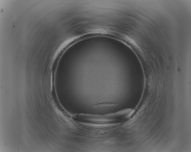 X0000063461323200601271554