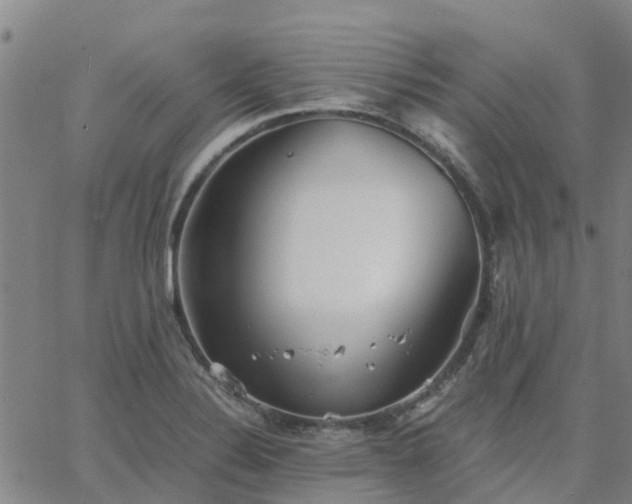 X0000063461324200601271554