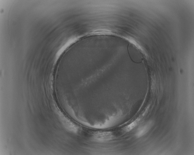 X0000063461325200601271554