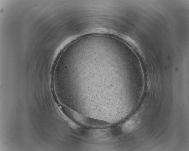 X0000063461326200601271554