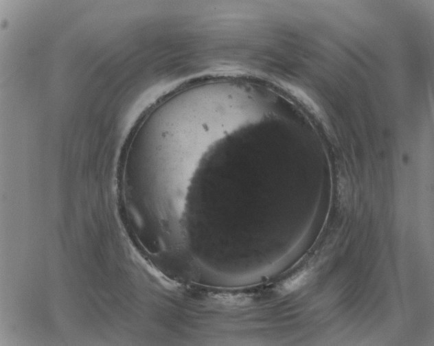 X0000063461327200601271554